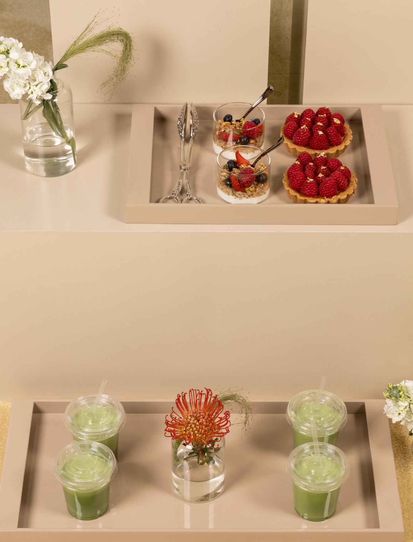 Frame Tray